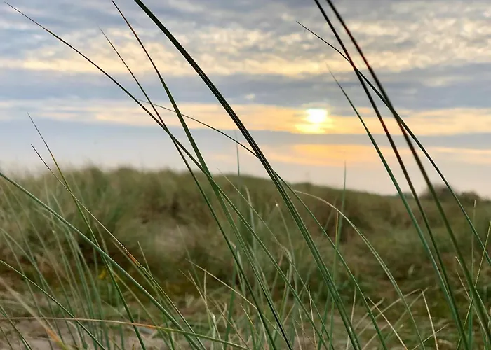 50 0 S Waterkant 아파트 쉴리그