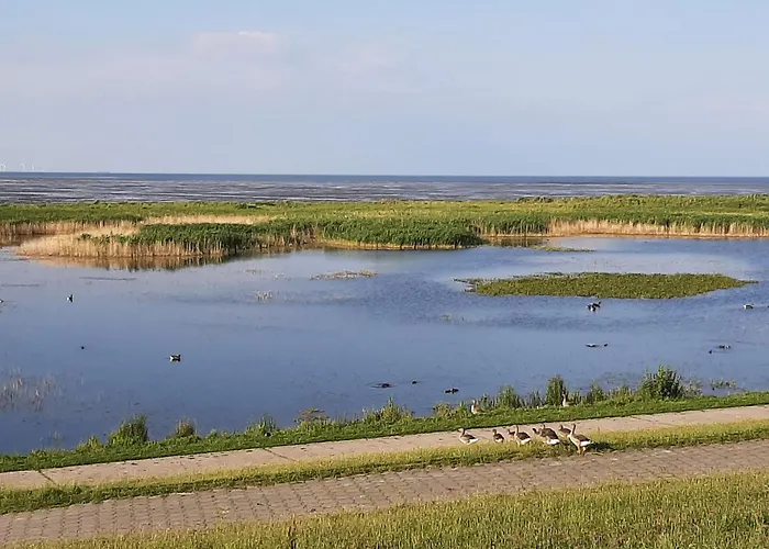 아파트 50 0 S Waterkant 쉴리그